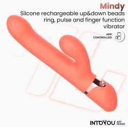 VIBRADOR